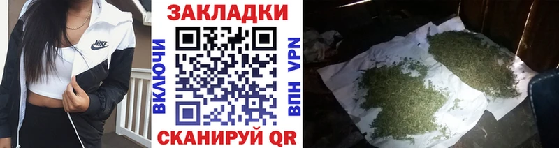 Какие есть наркотики Сураж Канабис  Меф  KRAKEN как зайти  Гашиш  Alpha-PVP 