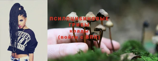 крисы Абдулино
