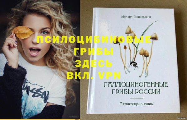 COCAINE Алексеевка