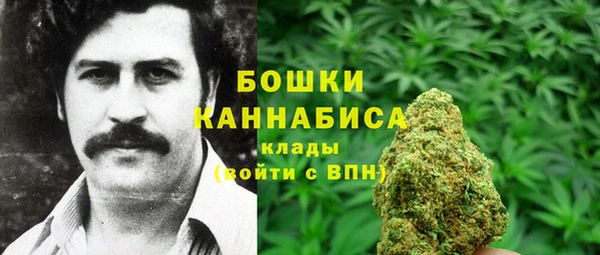 ешки Алзамай