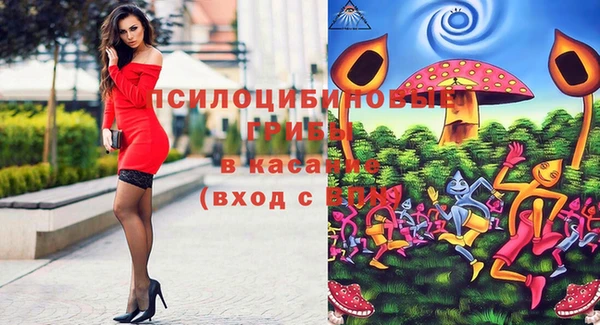 ешки Алзамай