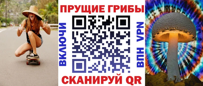 Галлюциногенные грибы прущие грибы  закладки  Сураж 