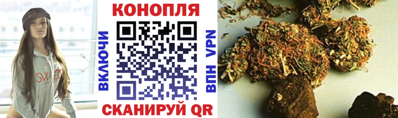 Конопля White Widow  Сураж 